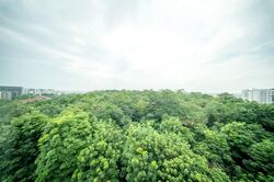 Blk 677B Park Grove @ Yishun (Yishun), HDB 5 Rooms #583880991